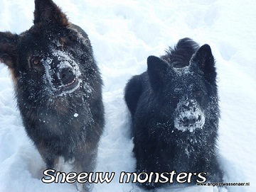 Twee sneeuw monsters